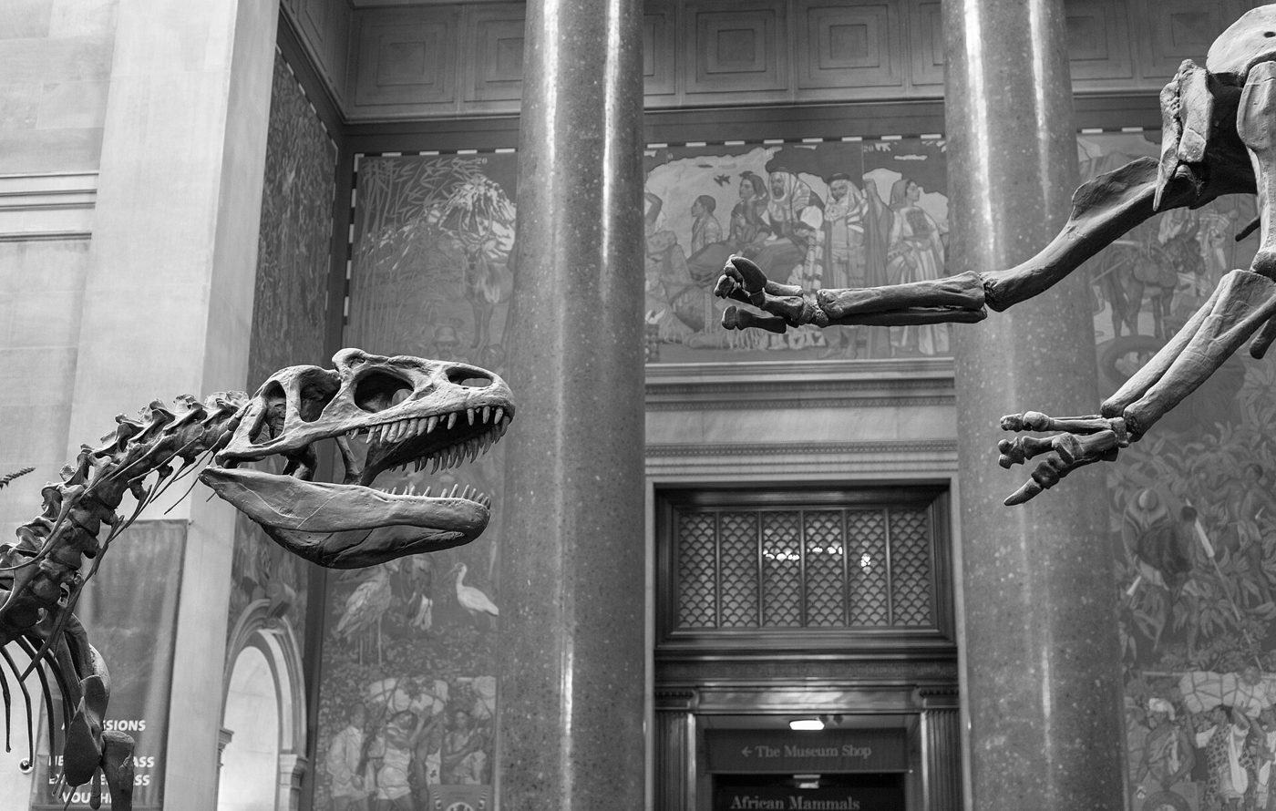 Skeletons of dinosaurs reaching toward a carved doorway inside the museum