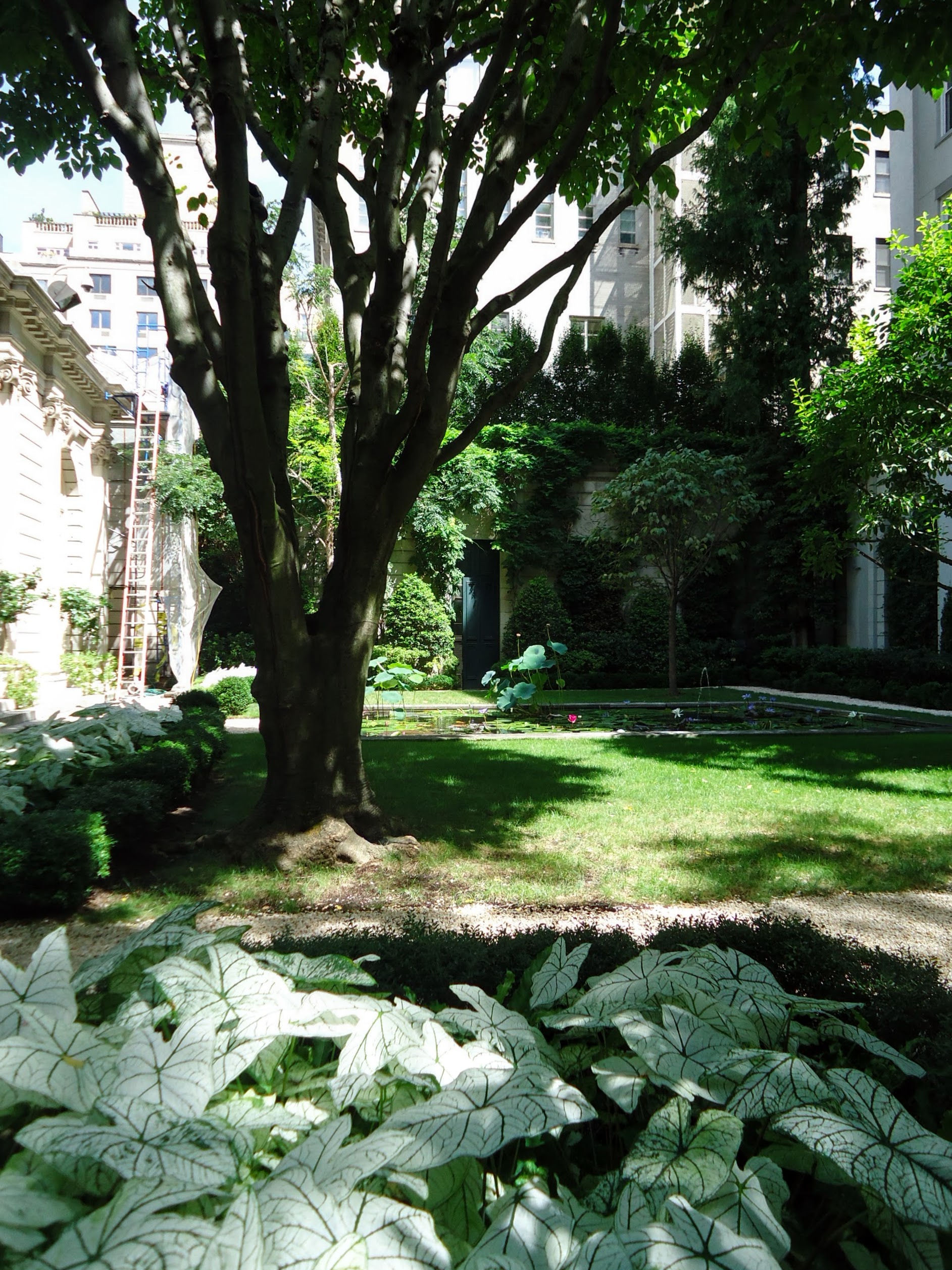 The Fifth Avenue garden of the Frick Collection seen through the iron fence, with trees and a lawn