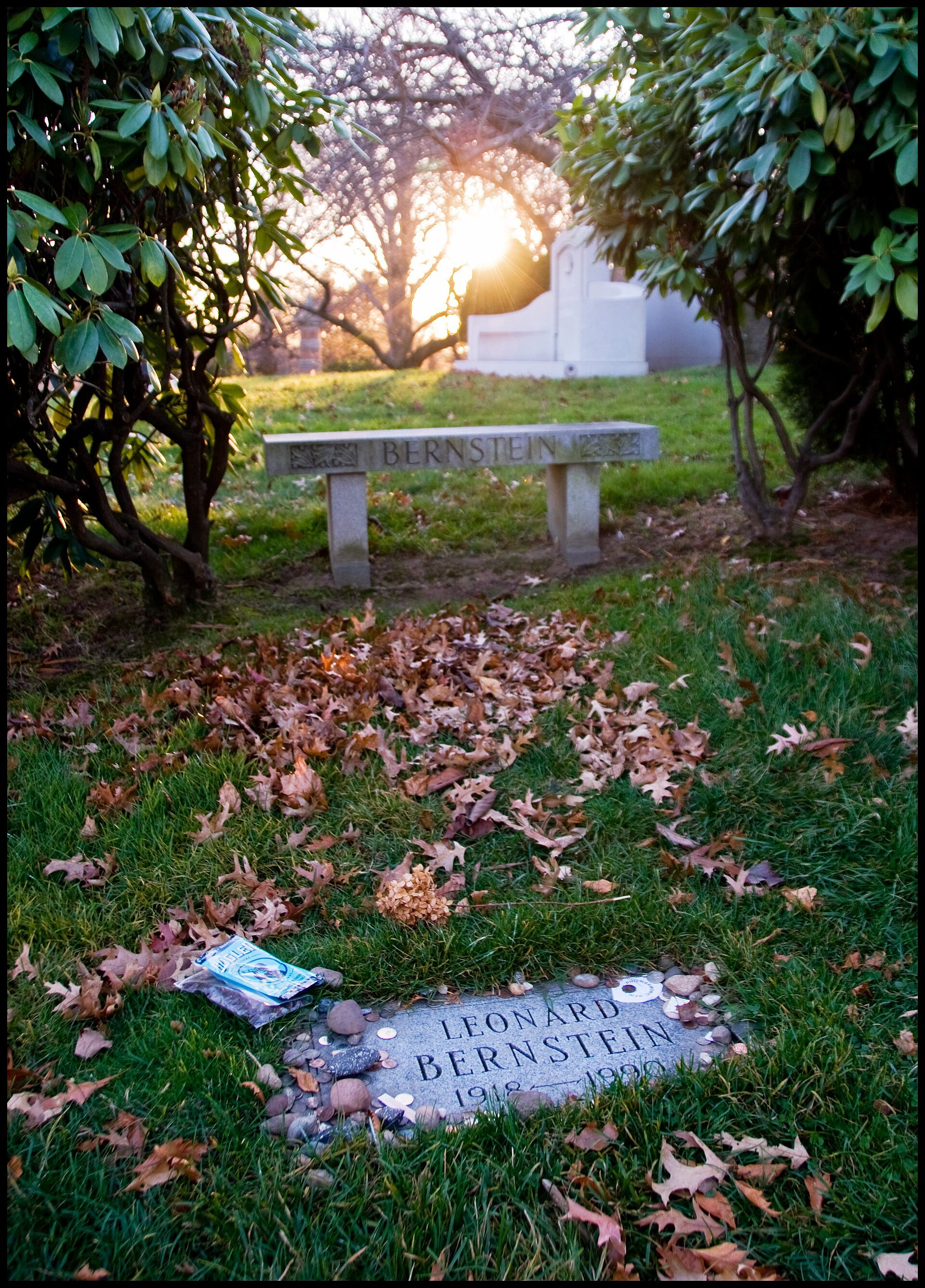 The flat grave marker of Leonard Bernstein surrounded by grass and fallen leaves, with a stone bench behind