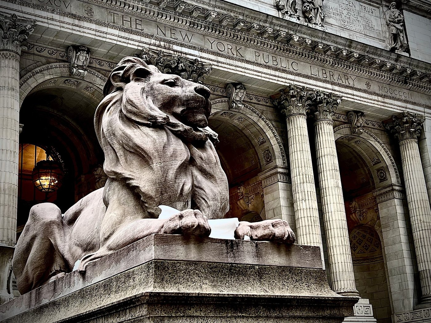 One of the marble lions in front of the New York Public Library entrance.