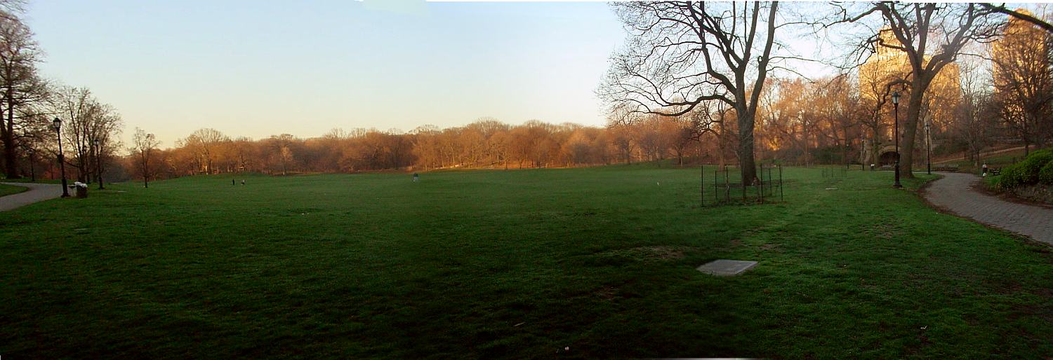 A wide panorama of the Long Meadow in Prospect Park at dusk, a broad green field bordered by trees