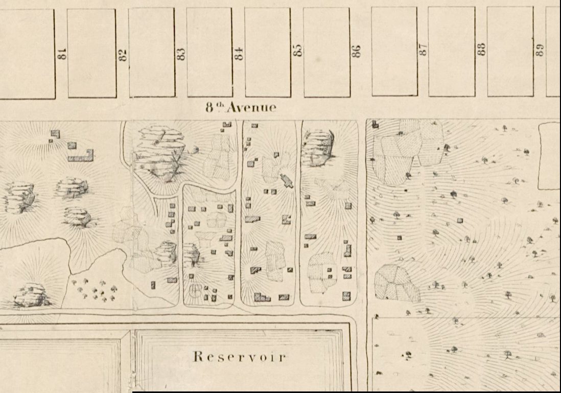 Detail of an 1856 survey map showing numbered lots, small structures and the Reservoir at the bottom near Eighth Avenue