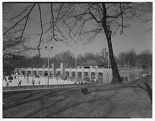 Black and white photograph of the Wollman Skating Rink pavilion behind a bare tree in Central Park